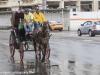 Cuba 2020 Havana Horse Transportation