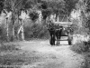 Cuba 2020 Horse Cart