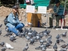 Feeding Pigeons, Part 2, almaty, Kazakhstan