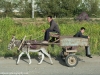 Transportation in Uzbekistan