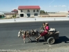 Donkey transportation, Bukhara to Samarkand, Uzbekistan